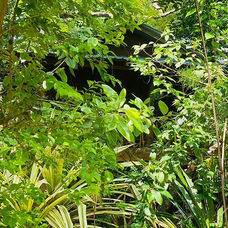 Girilena Resort Dambulla Luaran gambar
